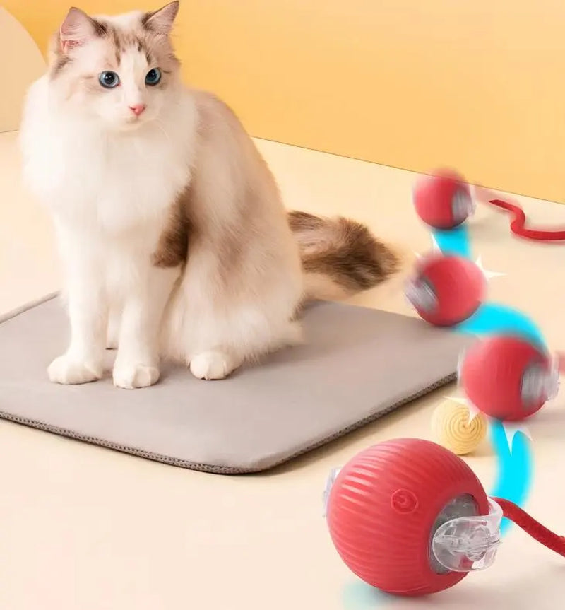 Smart Interactive Cat Toy Ball - Automatic Moving Motion Toy with LED Light, Rope & Realistic Bird Chirps, USB Rechargeable Boredom Buster for Indoor Cats & Small Dogs