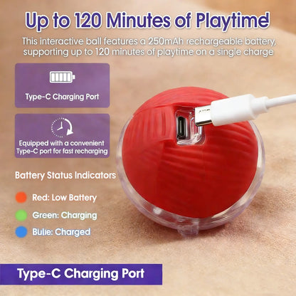 Smart Interactive Cat Toy Ball - Automatic Moving Motion Toy with LED Light, Rope & Realistic Bird Chirps, USB Rechargeable Boredom Buster for Indoor Cats & Small Dogs