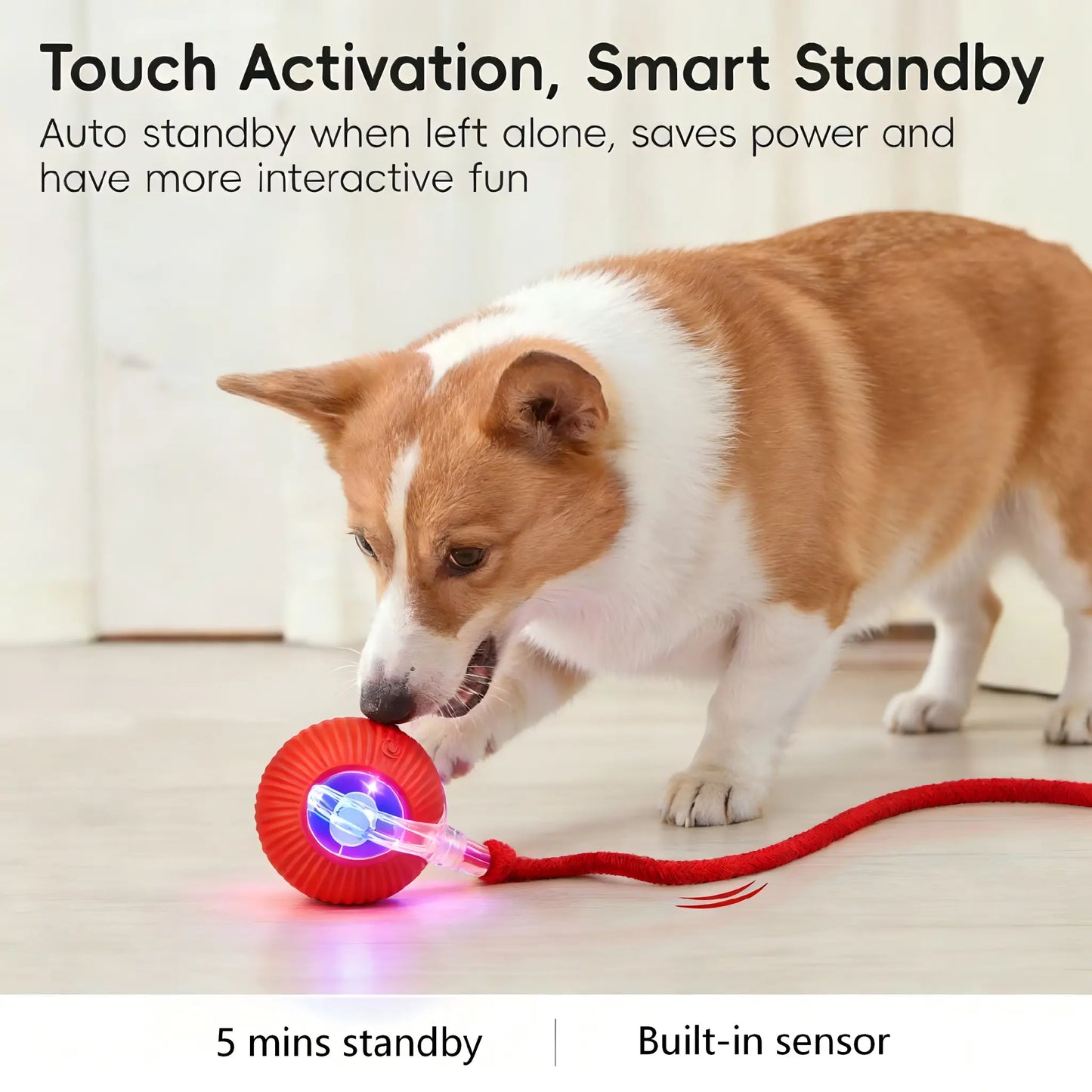 Smart Interactive Cat Toy Ball - Automatic Moving Motion Toy with LED Light, Rope & Realistic Bird Chirps, USB Rechargeable Boredom Buster for Indoor Cats & Small Dogs