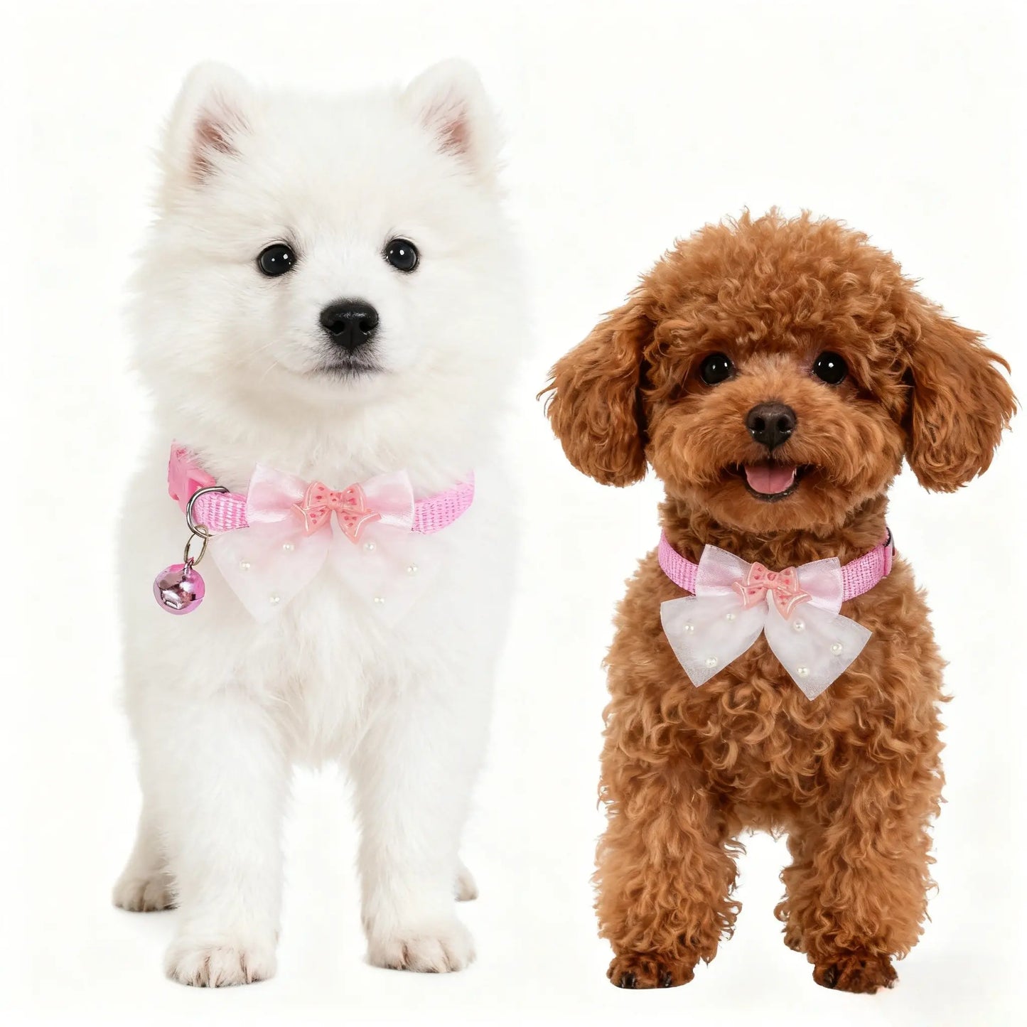Adjustable Bow Tie Collar for Yorkie, Maltese & Poodle Dogs, Butterfly Design, Cute Pet Accessory, Comfortable Neck Strap